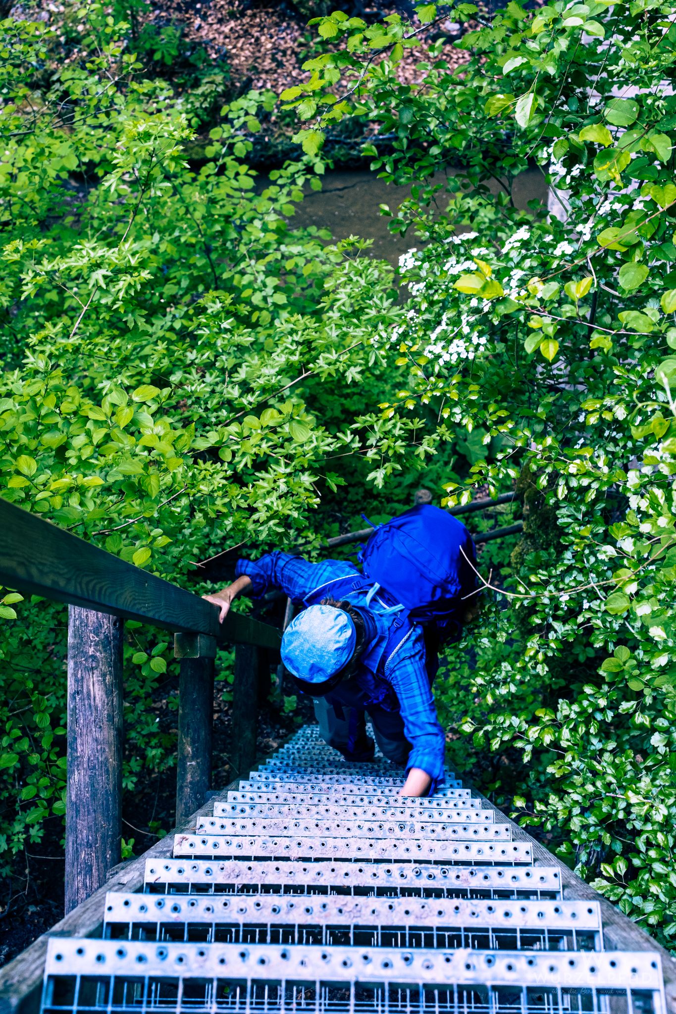 Schluchtensteig Tag 2: von Blumberg zur Schattenmühle